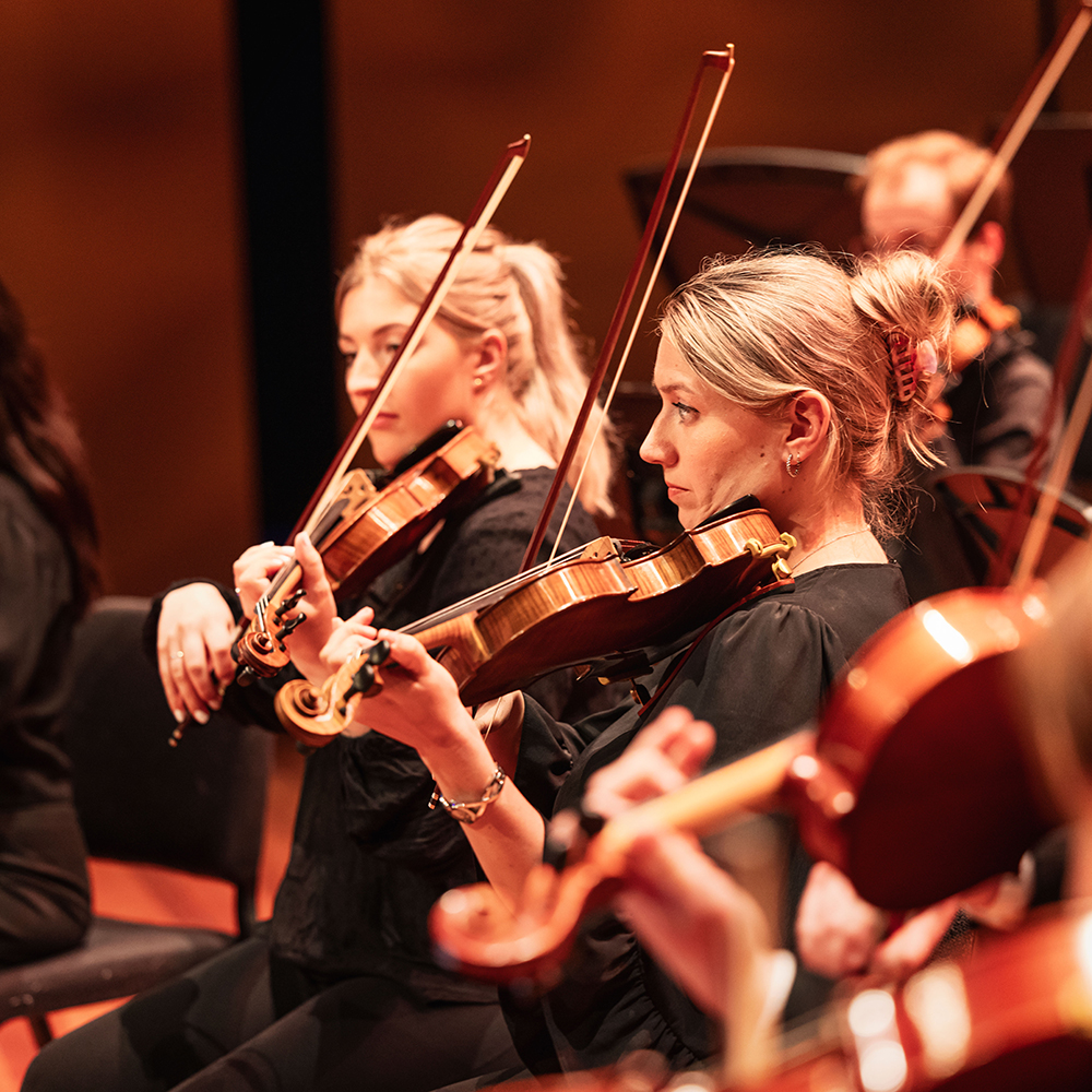 Violisten van het Flevolands Philharmonisch Orkest maken muziek