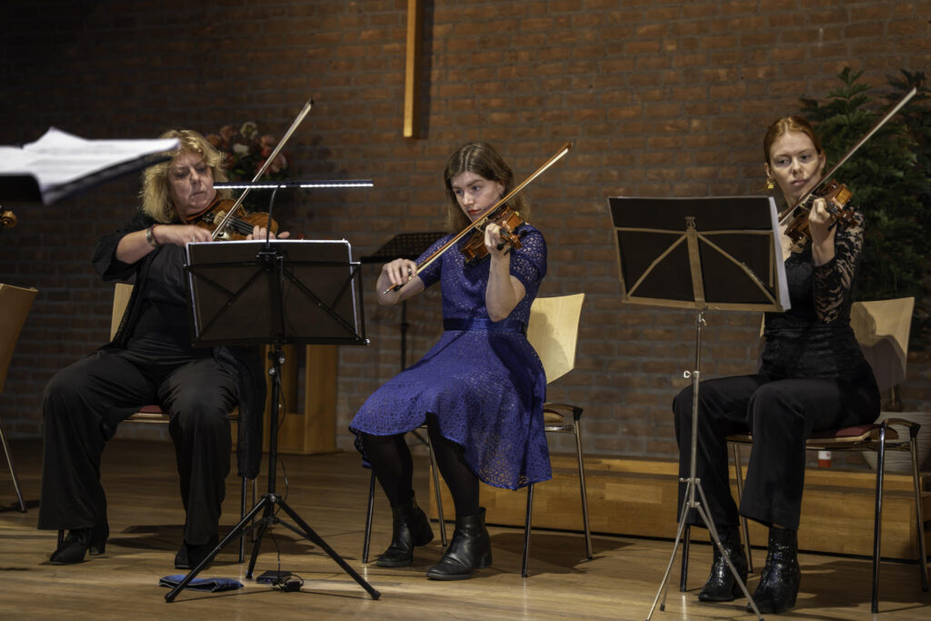 Strijkers van het Flevolands Philharmonisch Orkest